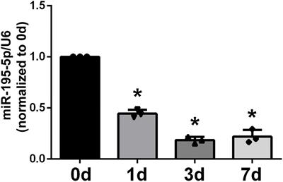 Regulation of Schwann cell proliferation and migration via miR-195-5p-induced Crebl2 downregulation upon peripheral nerve damage